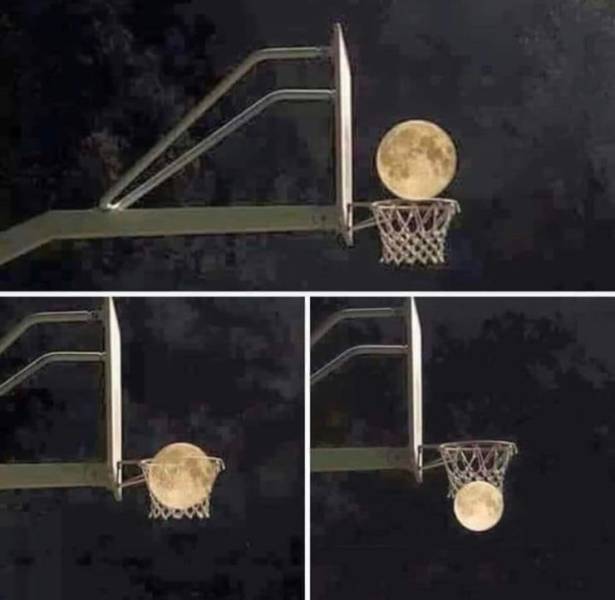 Pics That Are So Poignant And Fascinating