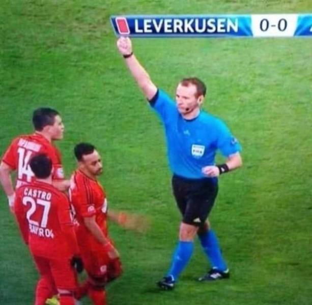 An Absolutely PERFECT Fit!