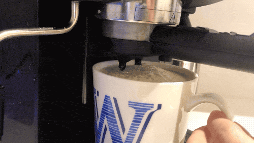 An Absolutely PERFECT Fit!