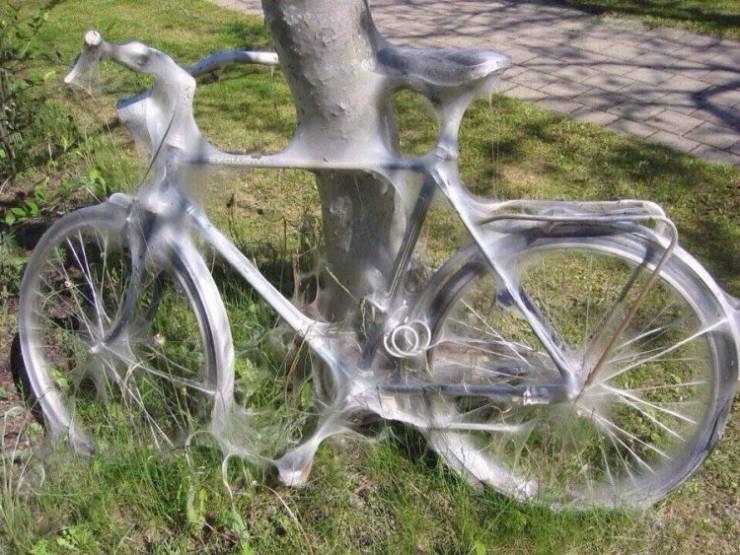daily picdump 96 pics 2.html - 96 HD Photos | Premium Gallery 2020