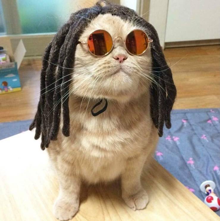 Daily Picdump
