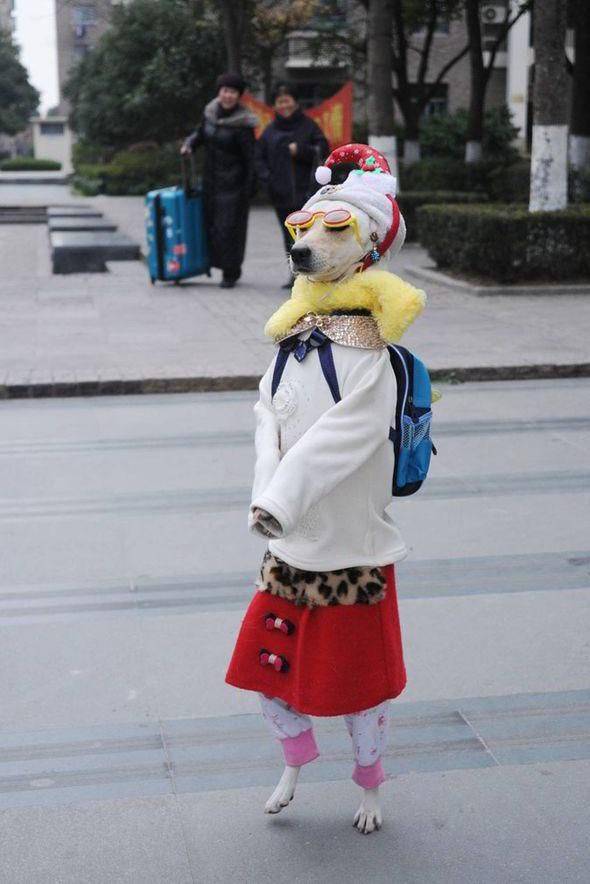 daily picdump 96 pics 2.html - 96 HD Photos | Premium Gallery 2020