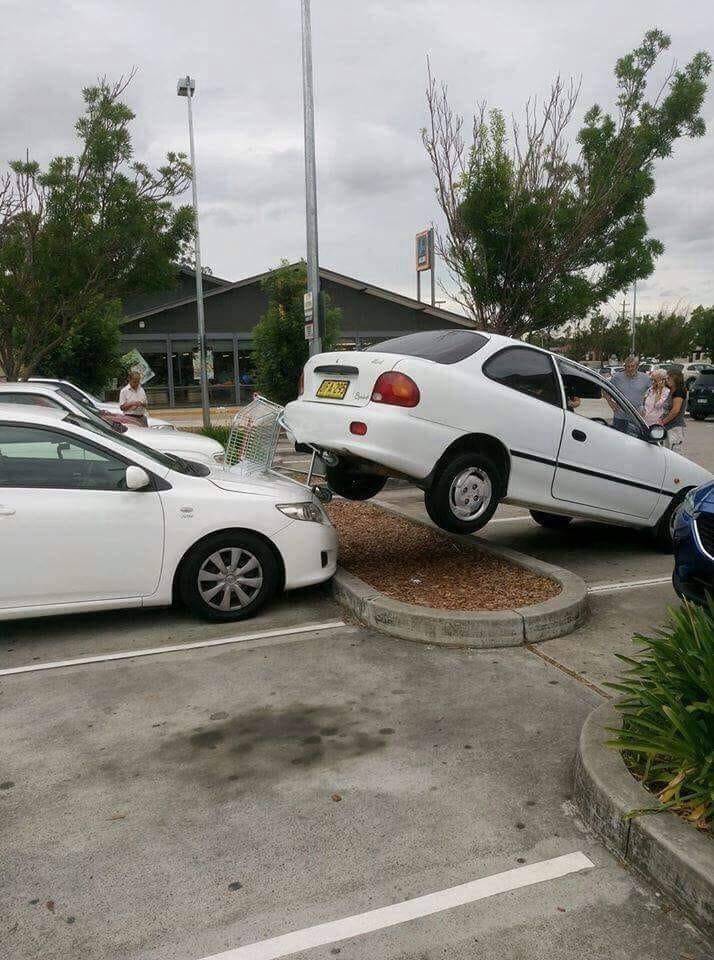 daily picdump 96 pics 2.html - 96 HD Photos | Premium Gallery 2020
