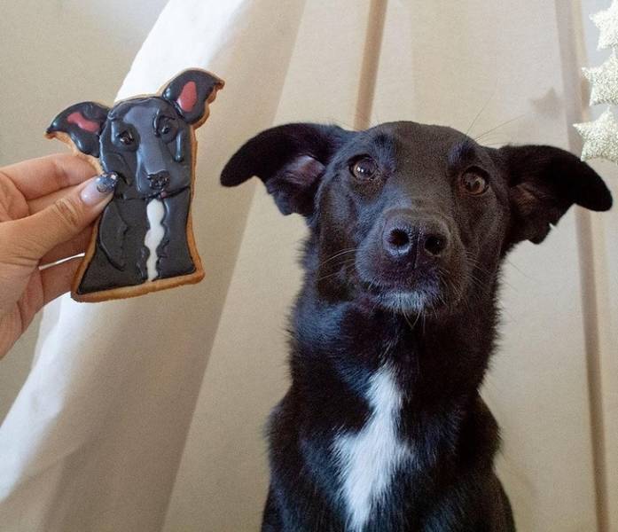 How Can Someone Eat Such Beauty?!