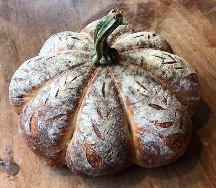 How Can Someone Eat Such Beauty?!