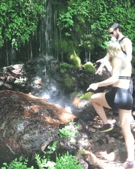 hotties go fail 32 gifs 14.html - 1 HD GIF | Premium Gallery 2020