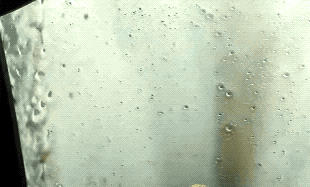 Wash Your Hands AND Your Car