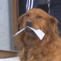 dirty mind come here 53 pics.html - 53 HD Photos | Premium Gallery 2020