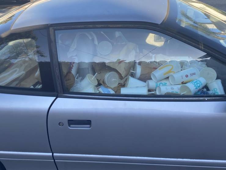 daily picdump 101 pics 31.html - 101 HD Photos | Premium Gallery 2020