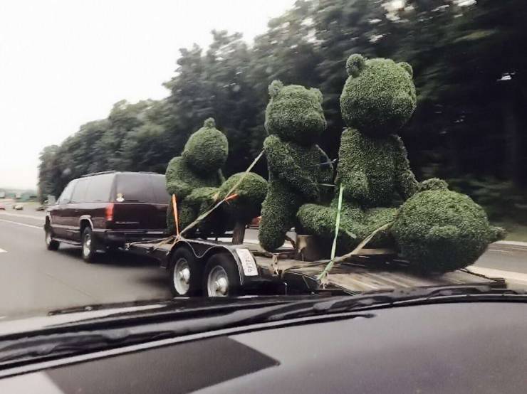 daily picdump 101 pics 31.html - 101 HD Photos | Premium Gallery 2020