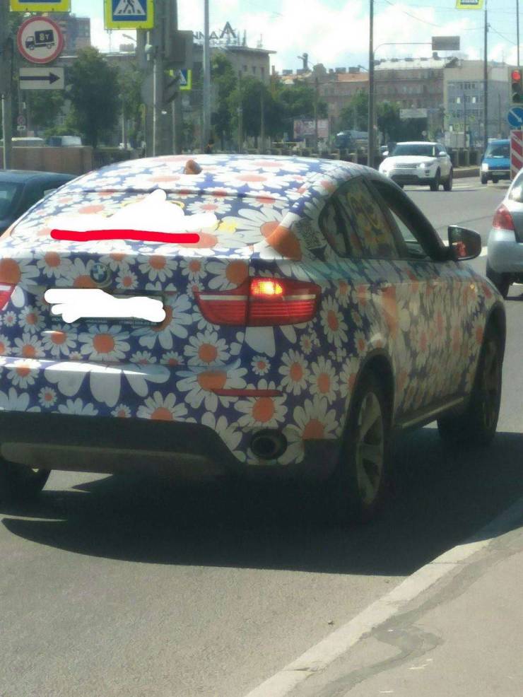 daily picdump 101 pics 31.html - 101 HD Photos | Premium Gallery 2020
