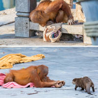 the best part about yoga is yoga pants 52 pics.html - 52 HD Photos | Premium Gallery 2020