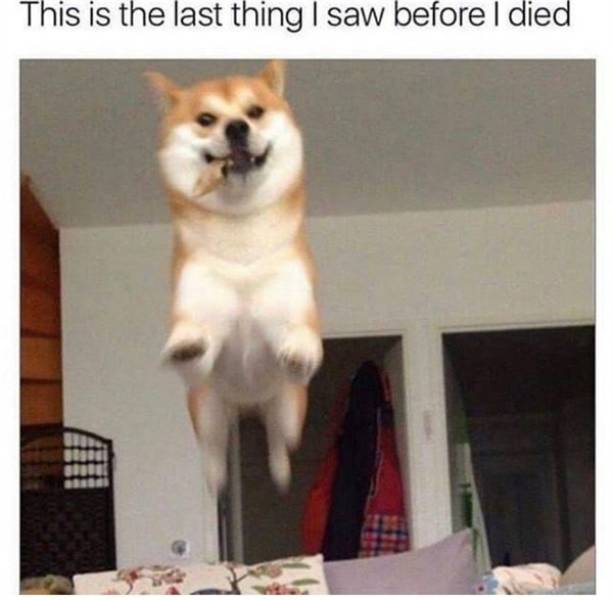 Don’t Laugh. At All