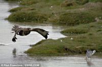 Curiosities and bonus pictures