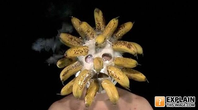 Random pictures that make no sense (55 pics)