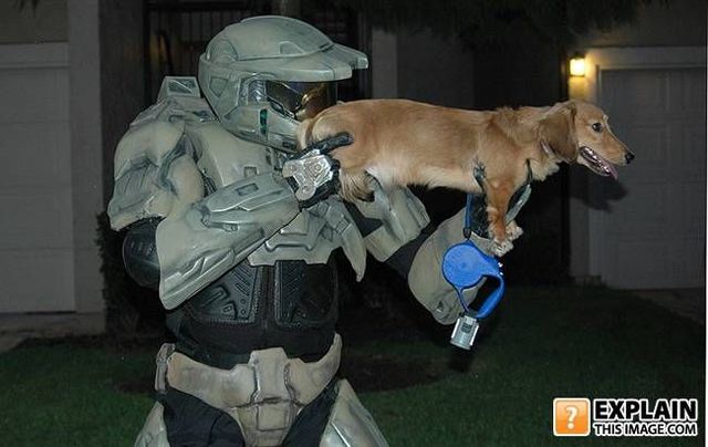 Random pictures that make no sense (55 pics)