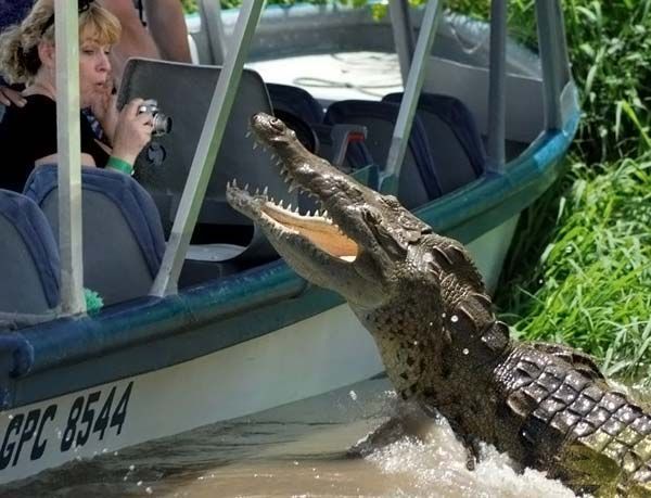 Funny picdump (97 pics)
