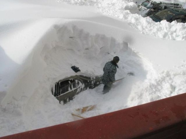 Funny picdump (97 pics)