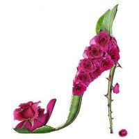 6 - 1 HD Gallery | Premium Gallery 2025