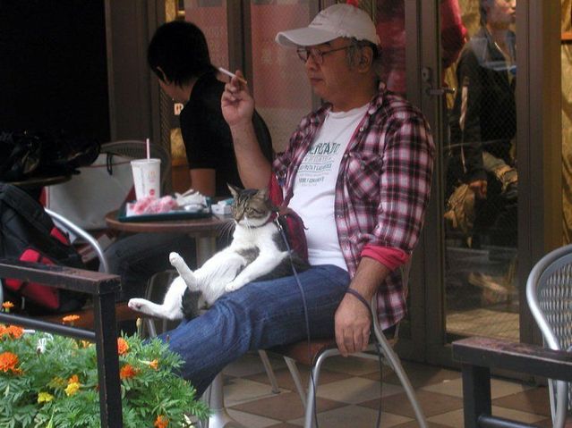 Funny picdump (107 pics)