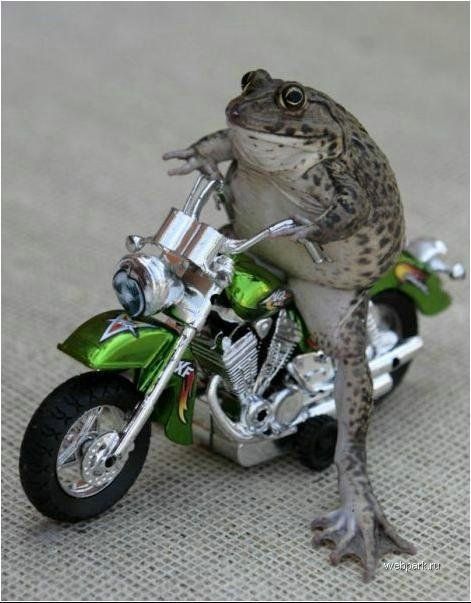 Funny picdump (107 pics)