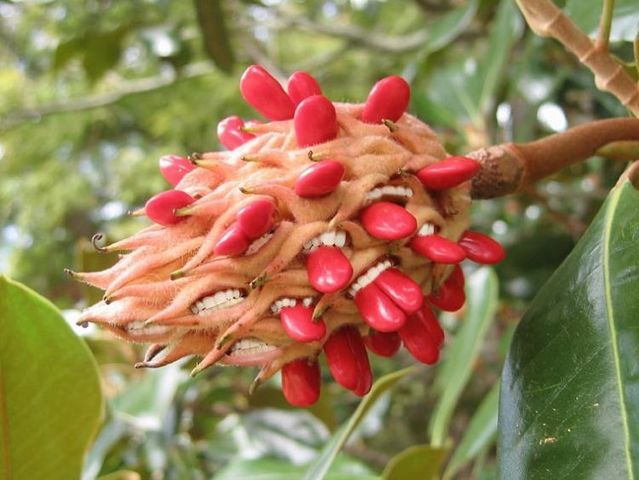 Funny picdump (107 pics)