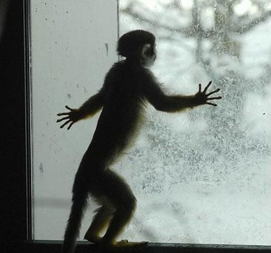 Funny picdump (107 pics)