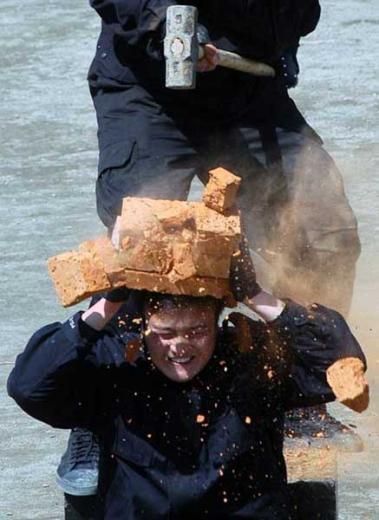 Funny picdump (123 pics)