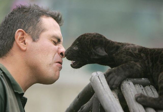 Funny picdump (123 pics)