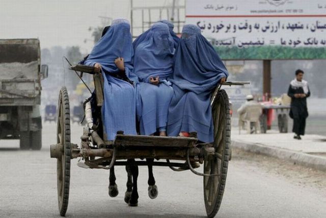 Funny picdump (123 pics)