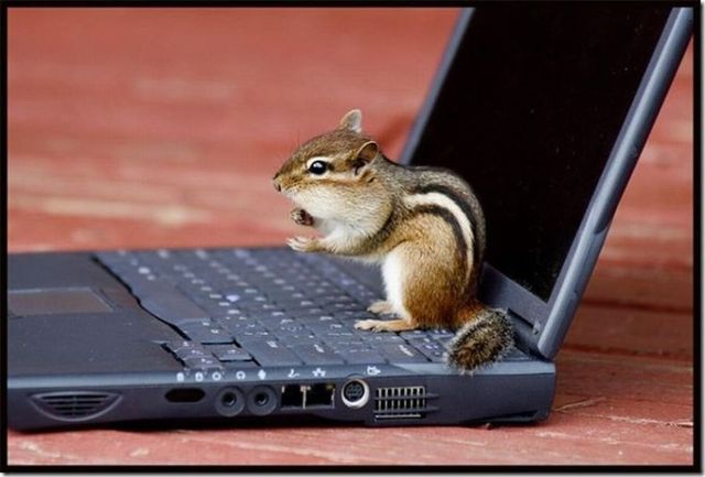 Funny picdump (123 pics)