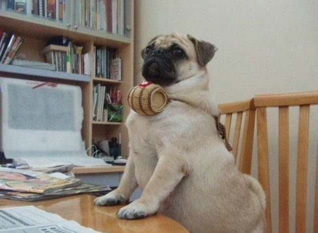 Funny picdump (123 pics)