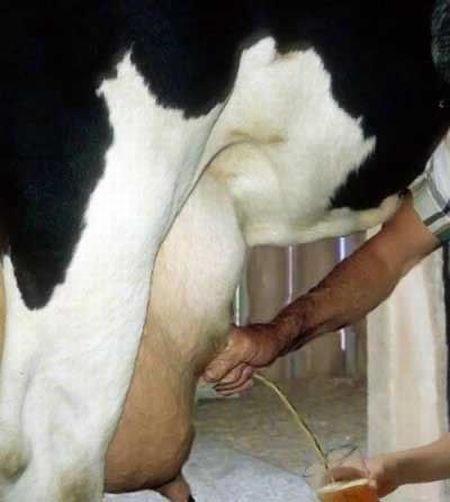 Funny picdump (123 pics)