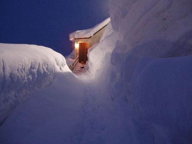 Funny picdump (123 pics)