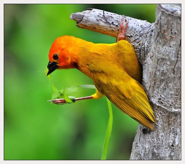 Funny picdump (123 pics)