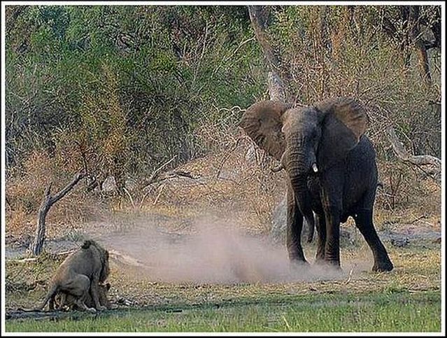 Funny picdump (123 pics)