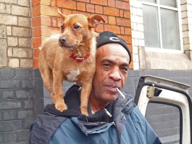 Funny picdump (123 pics)