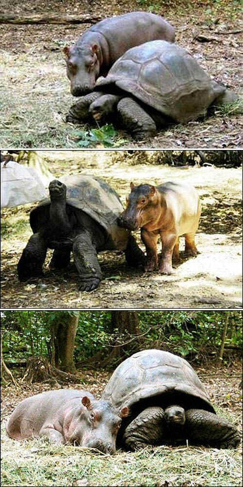 Funny picdump (123 pics)