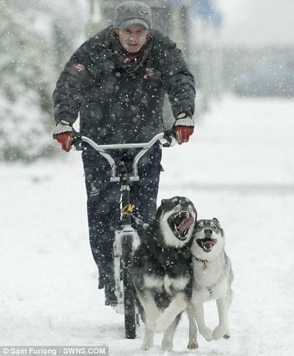 Funny picdump (123 pics)