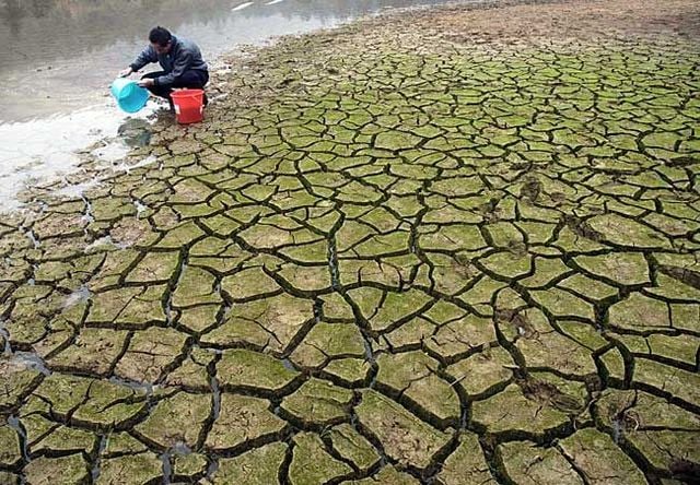 Funny picdump (123 pics)