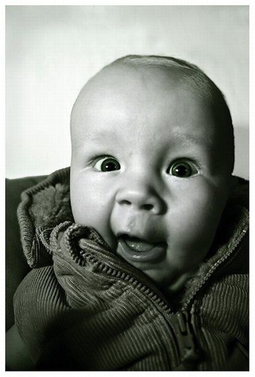 Funny picdump (106 pics)