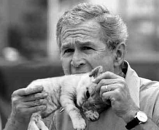 Funny picdump (106 pics)