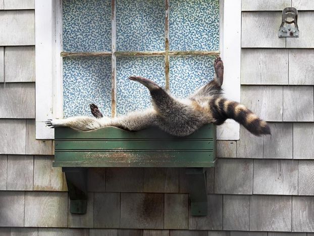 Funny picdump (106 pics)