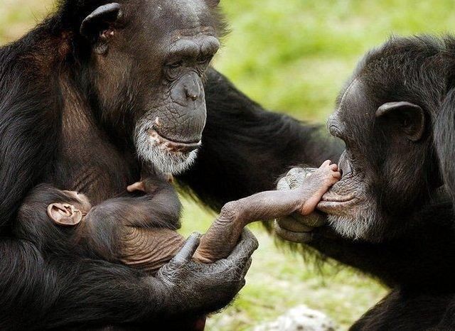 Funny picdump (106 pics)