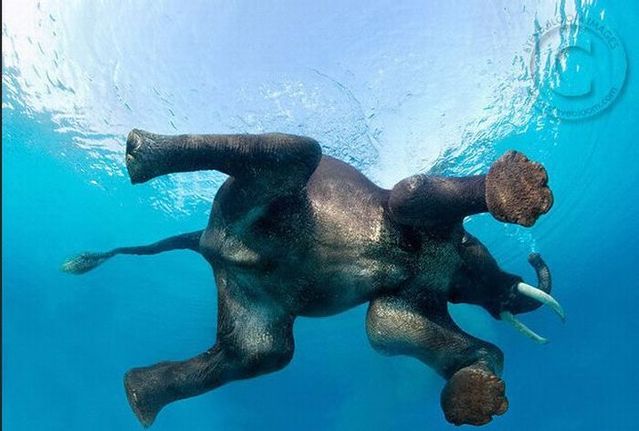 Funny picdump (154 pics)