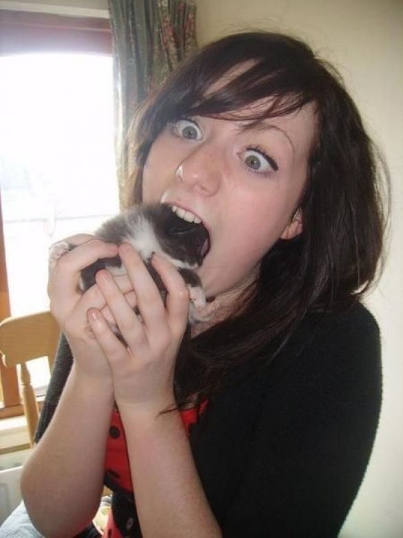 Funny picdump (154 pics)