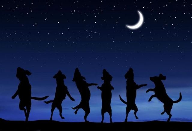 Funny picdump (154 pics)