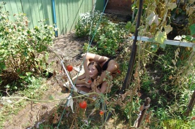 Funny picdump (154 pics)