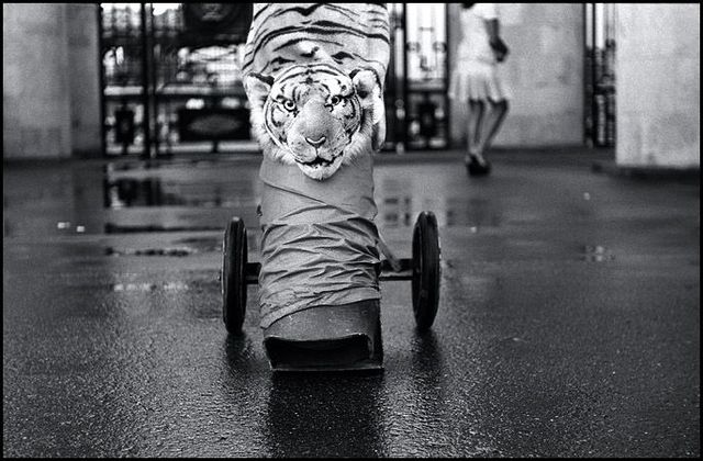 Funny picdump (154 pics)