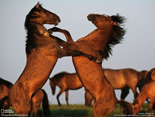 Funny picdump (154 pics)